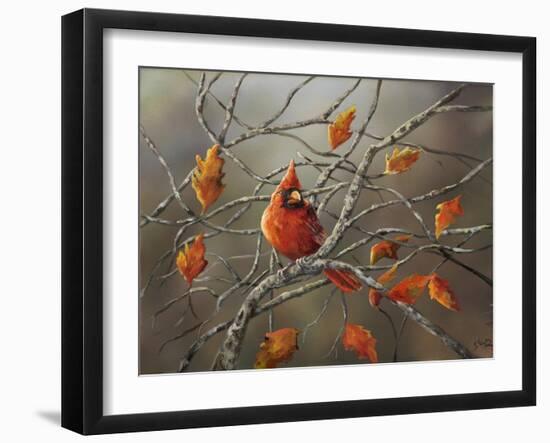 Fall Cardinal-Sarah Davis-Framed Giclee Print