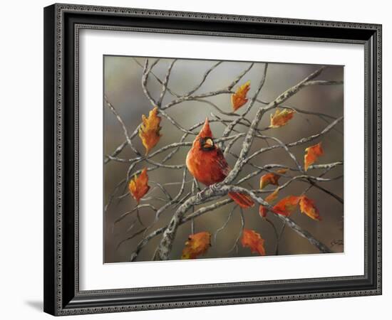 Fall Cardinal-Sarah Davis-Framed Giclee Print