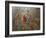 Fall Cardinal-Sarah Davis-Framed Giclee Print