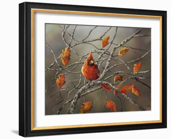 Fall Cardinal-Sarah Davis-Framed Giclee Print