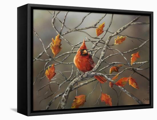 Fall Cardinal-Sarah Davis-Framed Premier Image Canvas