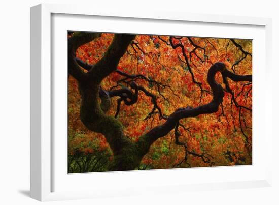 Fall Chaos copy-Darren White Photography-Framed Giclee Print