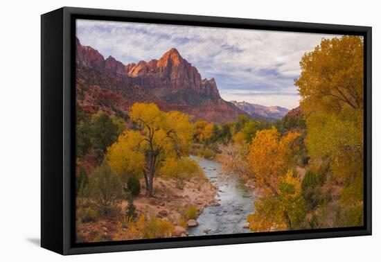 Fall Classic at The Watchman, Zion National Park-null-Framed Premier Image Canvas