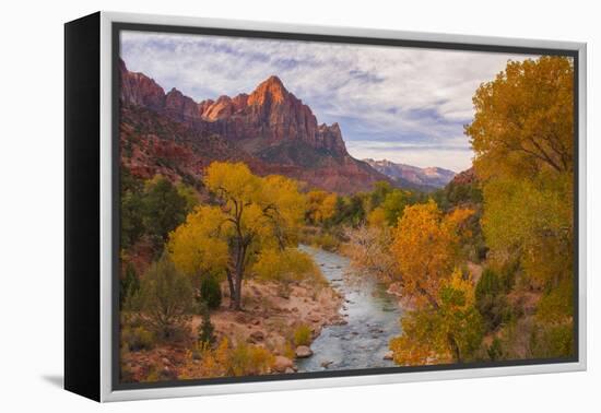 Fall Classic at The Watchman, Zion National Park-null-Framed Premier Image Canvas