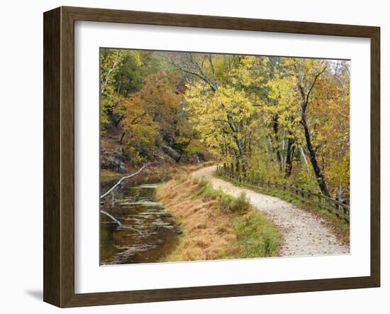 Fall Color Along the Old C and O Canal, C and O National Historic Park, Maryland, Usa-Adam Jones-Framed Photographic Print