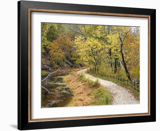 Fall Color Along the Old C and O Canal, C and O National Historic Park, Maryland, Usa-Adam Jones-Framed Photographic Print