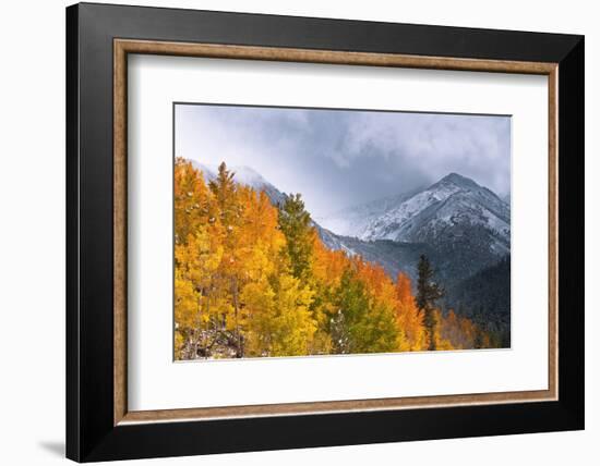 Fall Color and Early Snow at North Lake, Inyo National Forest, California-Russ Bishop-Framed Photographic Print