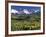 Fall Color and Landscape, Mt. Sneffels Wilderness, Colorado, USA-Gavriel Jecan-Framed Photographic Print