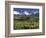 Fall Color and Landscape, Mt. Sneffels Wilderness, Colorado, USA-Gavriel Jecan-Framed Photographic Print