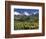 Fall Color and Landscape, Mt. Sneffels Wilderness, Colorado, USA-Gavriel Jecan-Framed Photographic Print