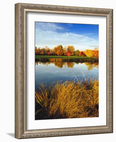 Fall Color and Reflection in the Yakima Arboretum, Yakima, Washington, Usa-Richard Duval-Framed Photographic Print