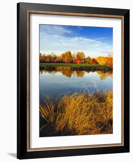 Fall Color and Reflection in the Yakima Arboretum, Yakima, Washington, Usa-Richard Duval-Framed Photographic Print