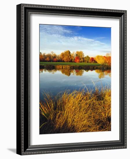 Fall Color and Reflection in the Yakima Arboretum, Yakima, Washington, Usa-Richard Duval-Framed Photographic Print