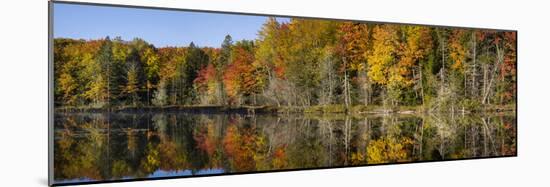 Fall Color at Small Lake or Pond Alger County in the Upper Peninsula, Michigan-Richard and Susan Day-Mounted Photographic Print