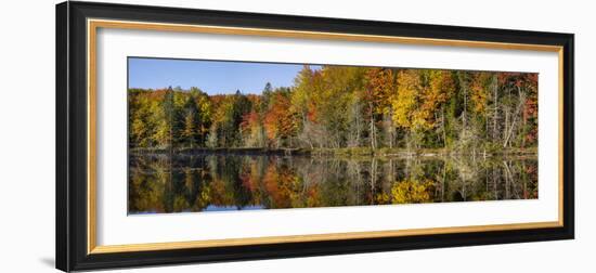 Fall Color at Small Lake or Pond Alger County in the Upper Peninsula, Michigan-Richard and Susan Day-Framed Photographic Print