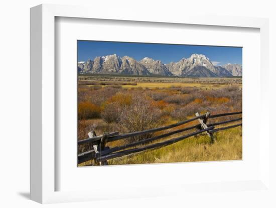 Fall Color, Buck and Rail Fence, Grand Tetons, Grand Teton National Park, Wyoming-Michel Hersen-Framed Photographic Print