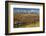 Fall Color, Buck and Rail Fence, Grand Tetons, Grand Teton National Park, Wyoming-Michel Hersen-Framed Photographic Print