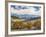 Fall Color Cimarron Road III-Don Paulson-Framed Giclee Print