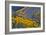 Fall Color Comes to Colorado Along Hwy 145 South of Telluride, Colorado-Ray Mathis-Framed Photographic Print