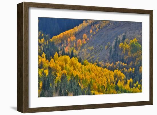 Fall Color Comes to Colorado Along Hwy 145 South of Telluride, Colorado-Ray Mathis-Framed Photographic Print