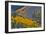 Fall Color Comes to Colorado Along Hwy 145 South of Telluride, Colorado-Ray Mathis-Framed Photographic Print
