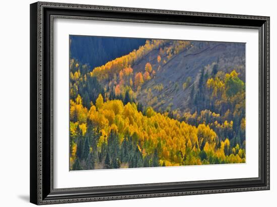 Fall Color Comes to Colorado Along Hwy 145 South of Telluride, Colorado-Ray Mathis-Framed Photographic Print