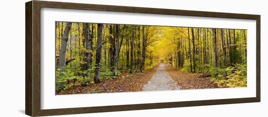 Fall Color Hiawatha National Forest Road Alger County in the Upper Peninsula, Michigan-Richard and Susan Day-Framed Photographic Print