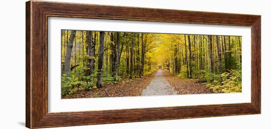 Fall Color Hiawatha National Forest Road Alger County in the Upper Peninsula, Michigan-Richard and Susan Day-Framed Photographic Print