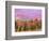 Fall Color in Denali National Park, Alaska, USA-Charles Sleicher-Framed Photographic Print