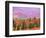 Fall Color in Denali National Park, Alaska, USA-Charles Sleicher-Framed Photographic Print