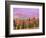 Fall Color in Denali National Park, Alaska, USA-Charles Sleicher-Framed Photographic Print