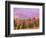 Fall Color in Denali National Park, Alaska, USA-Charles Sleicher-Framed Photographic Print