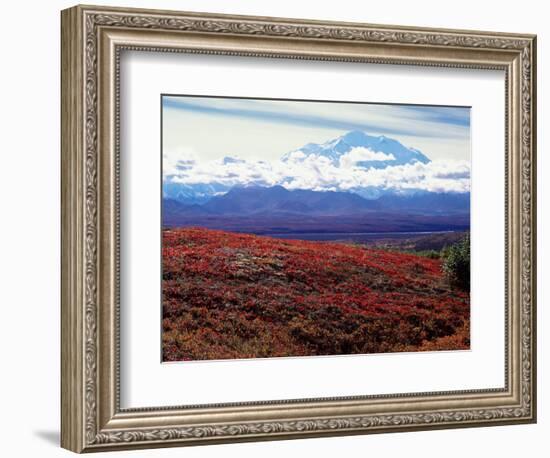 Fall Color in Denali National Park, Mt. Denali, Alaska, USA-Charles Sleicher-Framed Photographic Print