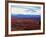 Fall Color in Denali National Park, Mt. Denali, Alaska, USA-Charles Sleicher-Framed Photographic Print