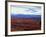 Fall Color in Denali National Park, Mt. Denali, Alaska, USA-Charles Sleicher-Framed Photographic Print