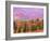 Fall Color in Denali National Park, Mt. Denali, Alaska, USA-Charles Sleicher-Framed Photographic Print