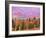 Fall Color in Denali National Park, Mt. Denali, Alaska, USA-Charles Sleicher-Framed Photographic Print