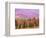 Fall Color in Denali National Park, Mt. Denali, Alaska, USA-Charles Sleicher-Framed Photographic Print