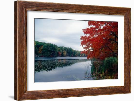 Fall Color in Harriman State Park, New York-George Oze-Framed Photographic Print