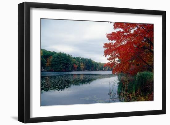 Fall Color in Harriman State Park, New York-George Oze-Framed Photographic Print