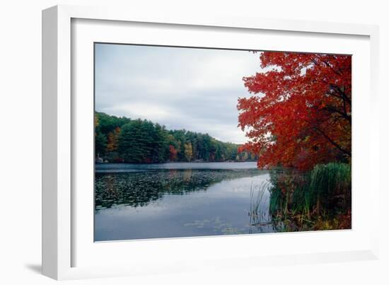 Fall Color in Harriman State Park, New York-George Oze-Framed Photographic Print