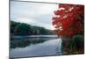 Fall Color in Harriman State Park, New York-George Oze-Mounted Photographic Print