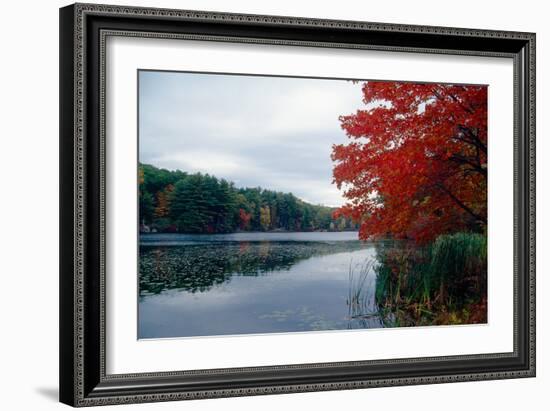 Fall Color in Harriman State Park, New York-George Oze-Framed Photographic Print