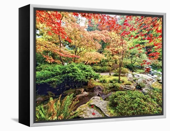 Fall Color in Seattle's Japanese Garden in the Arboretum, Seattle, Washington, Usa-Richard Duval-Framed Premier Image Canvas