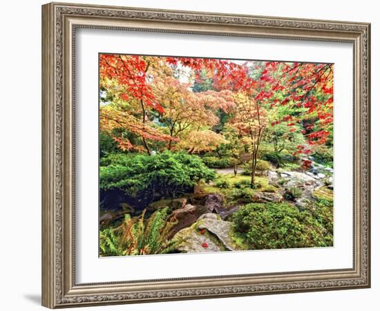 Fall Color in Seattle's Japanese Garden in the Arboretum, Seattle, Washington, Usa-Richard Duval-Framed Photographic Print