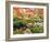 Fall Color in Seattle's Japanese Garden in the Arboretum, Seattle, Washington, Usa-Richard Duval-Framed Photographic Print