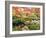 Fall Color in Seattle's Japanese Garden in the Arboretum, Seattle, Washington, Usa-Richard Duval-Framed Photographic Print