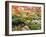 Fall Color in Seattle's Japanese Garden in the Arboretum, Seattle, Washington, Usa-Richard Duval-Framed Photographic Print