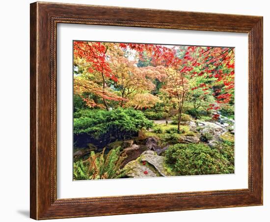 Fall Color in Seattle's Japanese Garden in the Arboretum, Seattle, Washington, Usa-Richard Duval-Framed Photographic Print