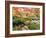 Fall Color in Seattle's Japanese Garden in the Arboretum, Seattle, Washington, Usa-Richard Duval-Framed Photographic Print